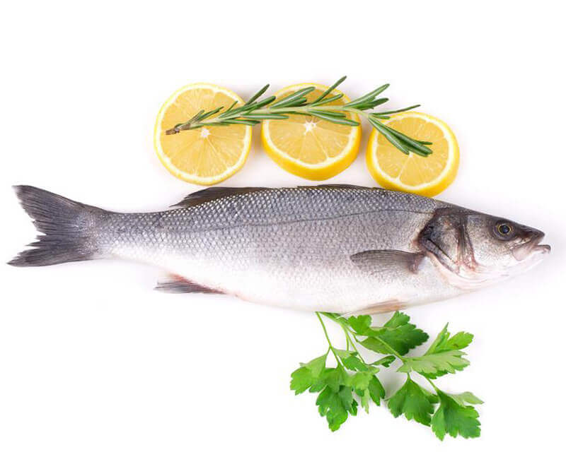 Fresh Fish – Oars 3